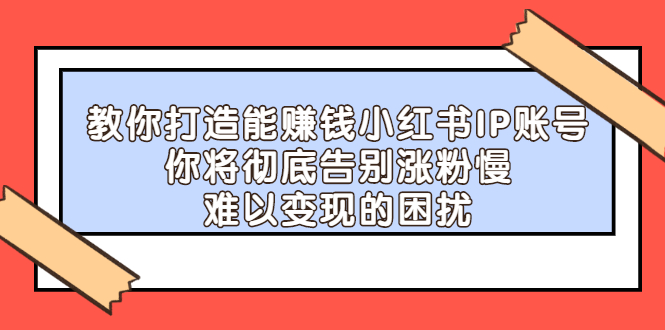 教你打造能赚钱小红书IP账号，了解透彻小红书的真正玩法|琦哥资源