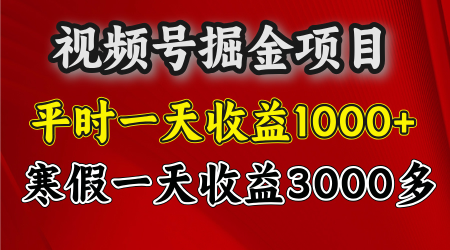视频号掘金项目，寒假一天收益3000多|琦哥资源