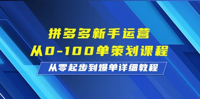拼多多新手运营从0-100单策划课程，从零起步到爆单详细教程|琦哥资源
