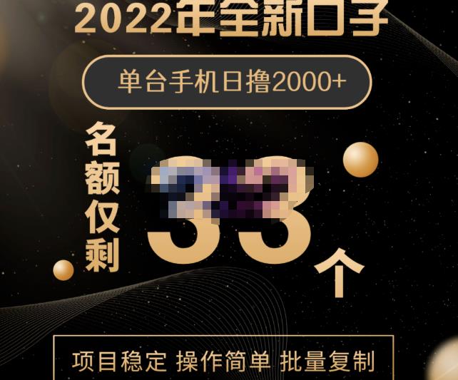 2022年全新口子，手机批量搬砖玩法，一部手机日撸2000+|琦哥资源