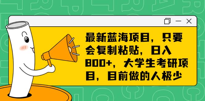 最新蓝海项目，只要会复制粘贴，日入800+，大学生考研项目，目前做的人极少|琦哥资源