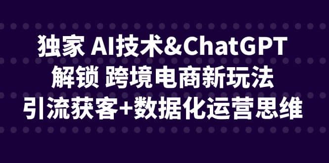独家 AI技术ChatGPT解锁 跨境电商新玩法，引流获客+数据化运营思维|琦哥资源