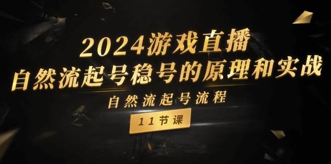 2024游戏直播-自然流起号稳号的原理和实战，自然流起号流程（11节）|琦哥资源