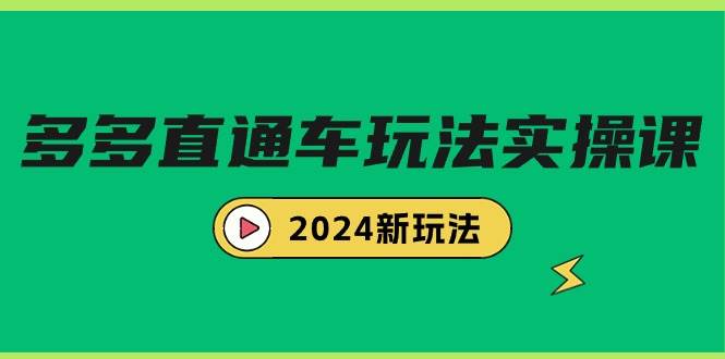 多多直通车玩法实战课，2024新玩法（7节课）|琦哥资源