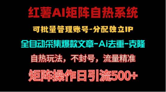 红薯矩阵自热系统，独家不死号引流玩法！矩阵操作日引流500+|琦哥资源