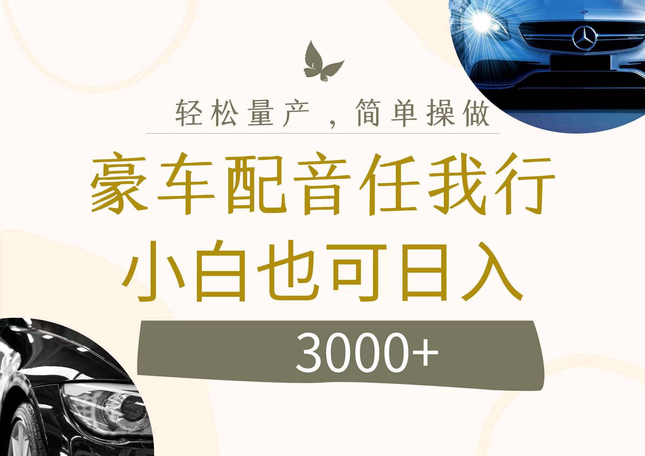 不为人知的暴力小项目，豪车配音，日入3000+|琦哥资源