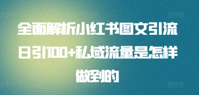 暴力引流 小红书图文引流日引100私域全面拆解【打粉人必看】|琦哥资源