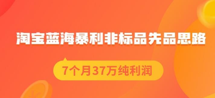 盗坤淘宝蓝海暴利非标品先品思路，7个月37万纯利润，压箱干货分享！【付费文章】|琦哥资源