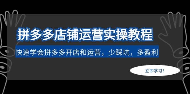 拼多多店铺运营实操教程：快速学会拼多多开店和运营，少踩坑，多盈利|琦哥资源