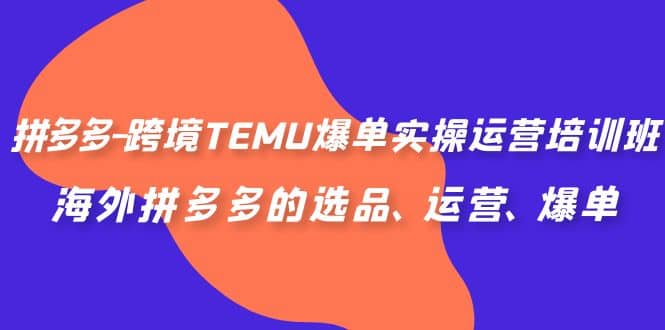 拼多多-跨境TEMU爆单实操运营培训班，海外拼多多的选品、运营、爆单|琦哥资源