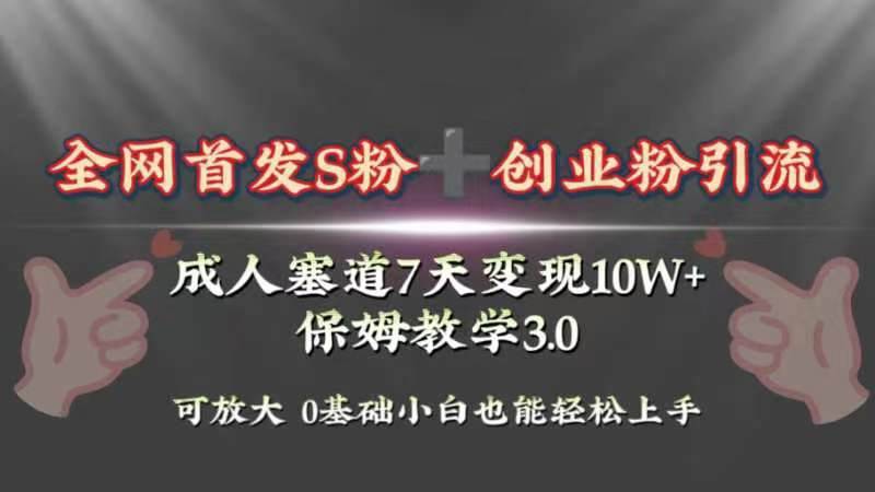 全网首发s粉加创业粉引流变现，成人用品赛道7天变现10w+保姆教学3.0|琦哥资源