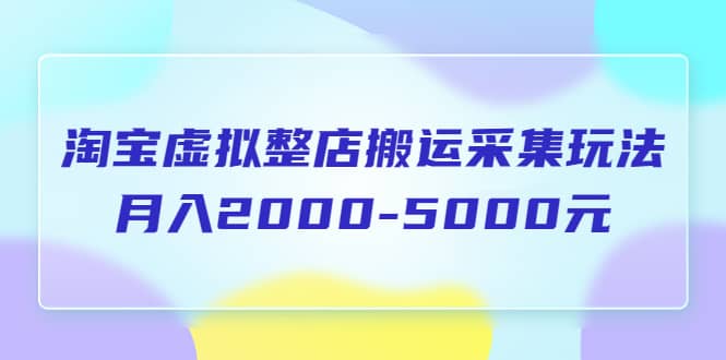 淘宝虚拟整店搬运采集玩法分享课：月入2000-5000元（5节课）|琦哥资源