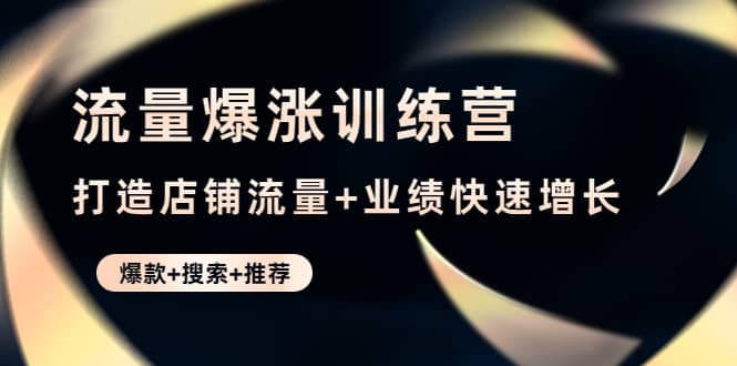 流量爆涨训练营：打造店铺流量+业绩快速增长 (爆款+搜索+推荐)|琦哥资源