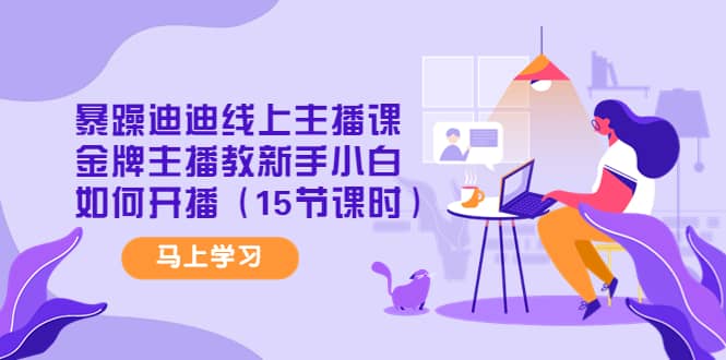 暴躁迪迪线上主播课，金牌主播教新手小白如何开播（15节课时）|琦哥资源
