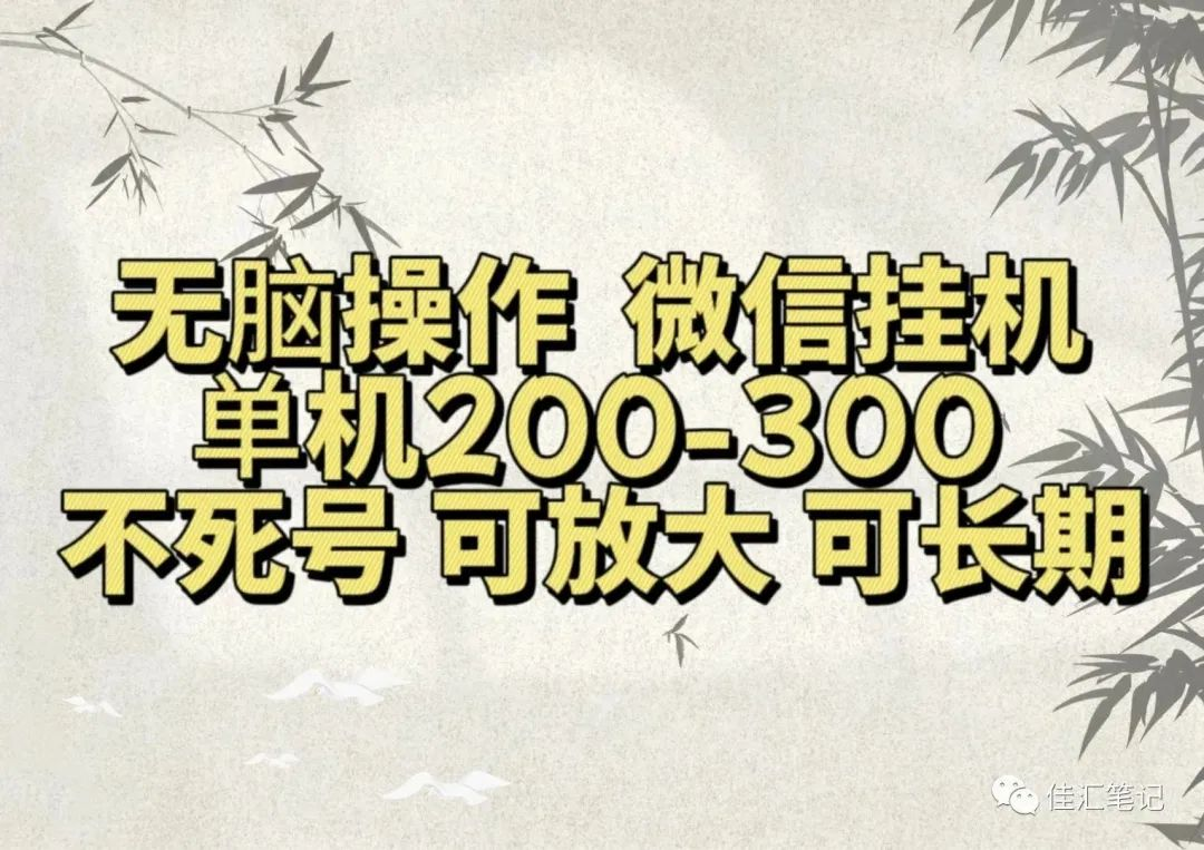 无脑操作微信视频号挂机单机200-300一天，不死号，可放大，工作室实测|琦哥资源