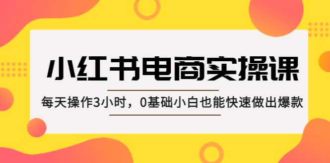 小红书·电商实操课：每天操作3小时，0基础小白也能快速做出爆款|琦哥资源