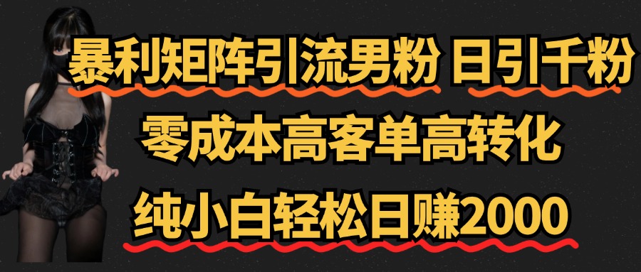 暴利矩阵引流男粉（日引千粉），零成本高客单高转化，纯小白轻松日赚2000+|琦哥资源