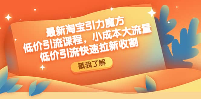 最新淘宝引力魔方低价引流实操：小成本大流量|琦哥资源