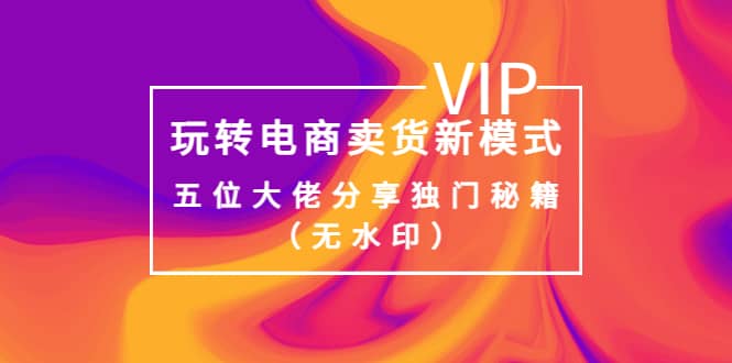 某收费培训：玩转电商卖货新模式，五位大佬分享独门秘籍（无水印）|琦哥资源