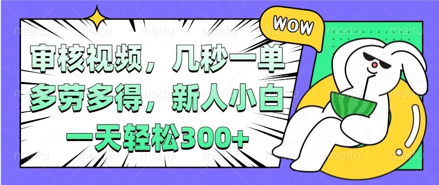 视频审核项目，几秒一单，多劳多得，新人小白一天轻松300+|琦哥资源