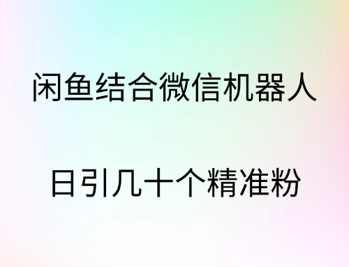闲鱼结合微信机器人，日引几十个精准粉|琦哥资源