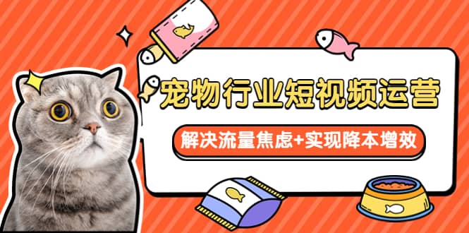 宠物/行业短视频运营 流量增长的一层窗户纸 解决流量焦虑+实现降本增效|琦哥资源