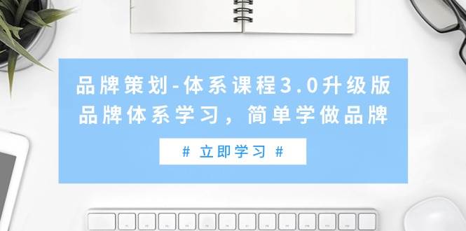 品牌策划-体系课程3.0升级版，品牌体系学习，简单学做品牌（高清无水印）|琦哥资源