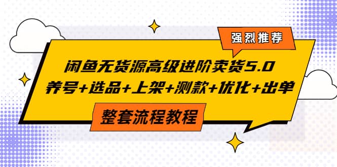 闲鱼无货源高级进阶卖货5.0，养号+选品+上架+测款+优化+出单整套流程教程|琦哥资源
