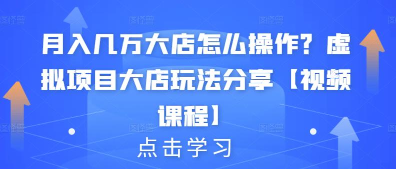 月入几万大店怎么操作？虚拟项目大店玩法分享【视频课程】|琦哥资源