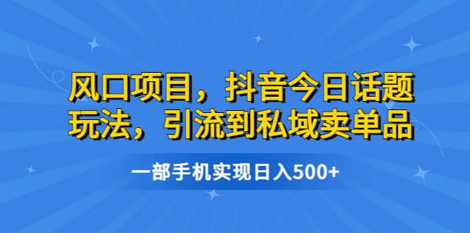 风口项目，抖音今日话题玩法，引流到私域卖单品，一部手机实现日入500+|琦哥资源