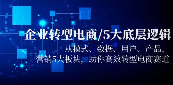 企业转型电商/5大底层逻辑，从模式 数据 用户 产品 营销5大板块，高效转型|琦哥资源