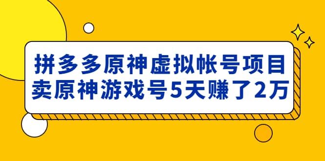 外面卖2980的拼多多原神虚拟帐号项目|琦哥资源