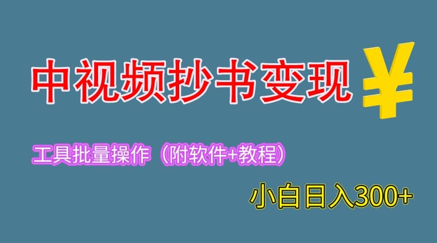 2023中视频抄书变现（附工具+教程），一天300+，特别适合新手操作的副业|琦哥资源