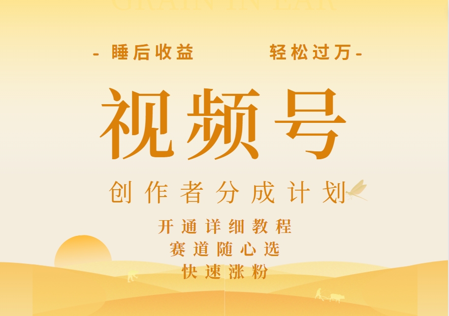 详解视频号创作者分成计划，暴力起号，可同步多平台，实现睡后收入2W+，看懂即可操作！|琦哥资源