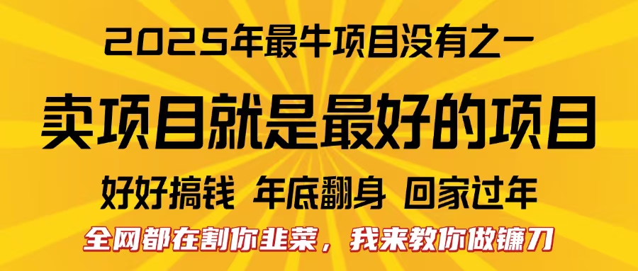 全网都在割你韭菜，我来教你做镰刀。卖项目就是最好的项目，2025年最牛互联网项目|琦哥资源