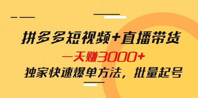 拼多多短视频+直播带货，一天赚3000+独家快速爆单方法，批量起号|琦哥资源