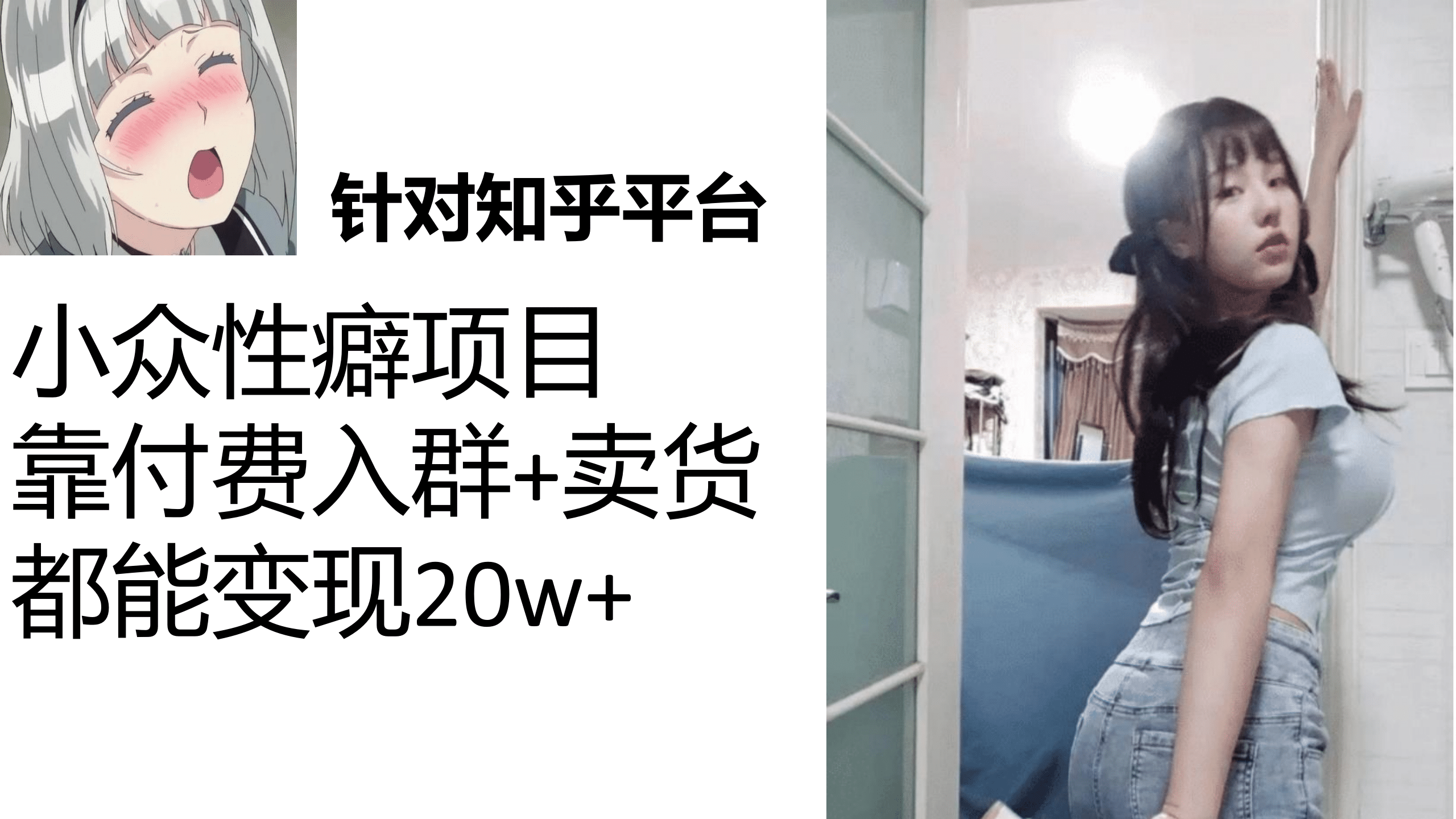 知乎小众性癖项目，Lsp的钱才是最好赚的，付费建群+卖货变现20w|琦哥资源