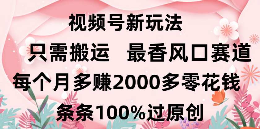 日入2000+，条条100%过原创，视频号最香风口赛道，小白轻松上手|琦哥资源
