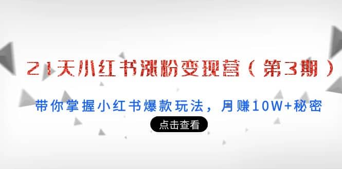 21天小红书涨粉变现营（第3期）：带你掌握小红书爆款玩法，月赚10W+秘密|琦哥资源