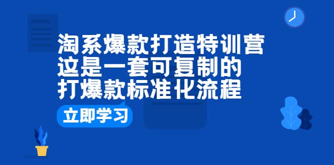 淘系爆款打造特训营：这是一套可复制的打爆款标准化流程|琦哥资源