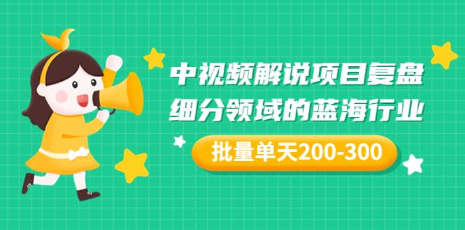 某付费文章：中视频解说项目复盘：细分领域的蓝海行业 批量单天200-300收益|琦哥资源