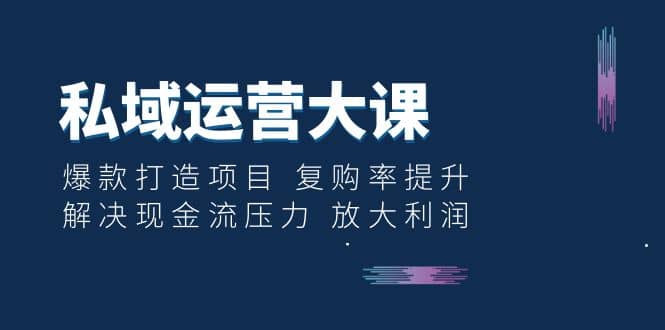 私域运营大课：爆款打造项目 复购率提升 解决现金流压力 放大利润|琦哥资源
