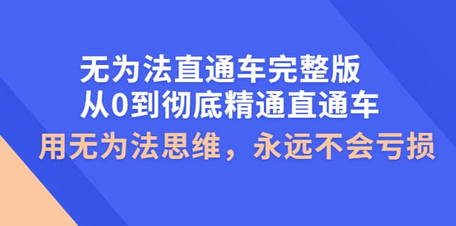 无为法直通车完整版：从0到彻底精通直通车，用无为法思维，永远不会亏损|琦哥资源