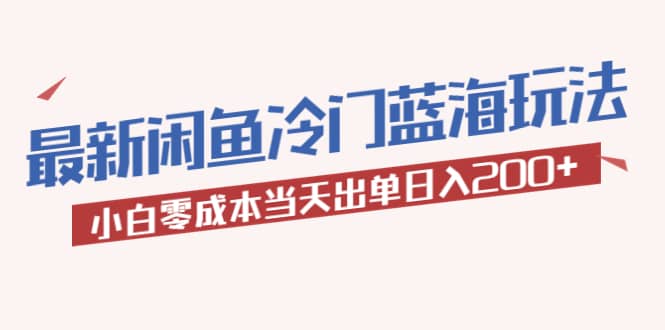 2023最新闲鱼冷门蓝海玩法，小白零成本当天出单日入200+|琦哥资源