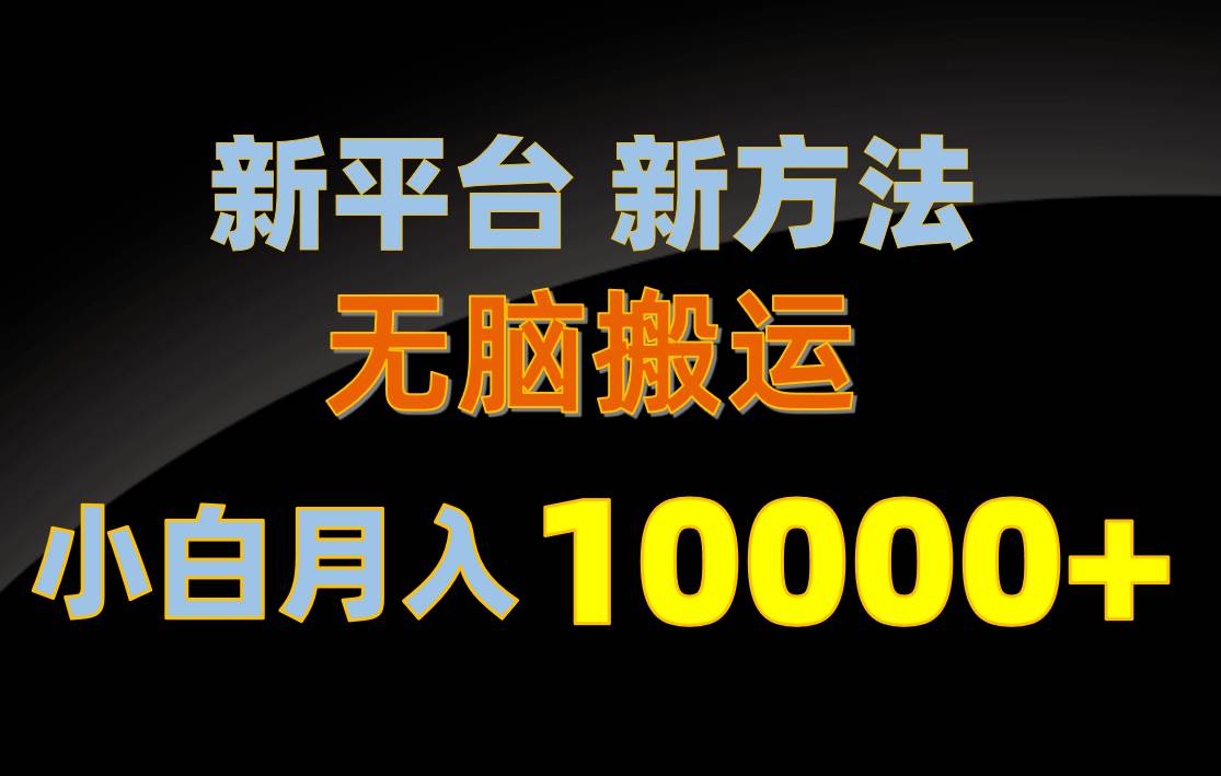 新平台新方法，无脑搬运，月赚10000+，小白轻松上手不动脑|琦哥资源
