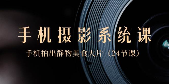0基础-手机摄影系统课，手机拍出静物美食大片（24节课）|琦哥资源