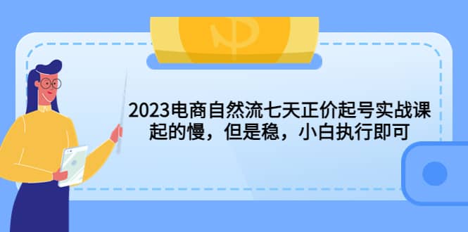 2023电商自然流七天正价起号实战课：起的慢，但是稳，小白执行即可|琦哥资源