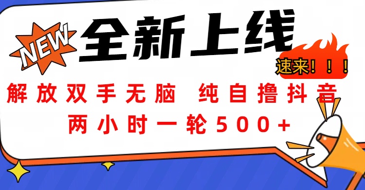 解放双手无脑 纯自撸抖音 两小时一轮500+|琦哥资源