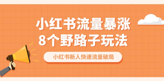小红书流量-暴涨8个野路子玩法：小红书新人快速流量破局（8节课）|琦哥资源