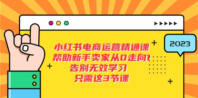 小红书电商·运营精通课，帮助新手卖家从0走向1 告别无效学习（7节视频课）|琦哥资源